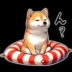 柴犬ワンダフル！！！！！