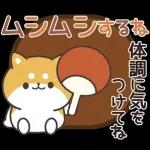 飛びだす！お返事シバイヌくん（雨の日）