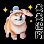 圓柴柴18:祝你有個可愛的一天❤️