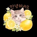 괜찮아 천천히 해도 다 잘 될 거에요
