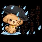 もふもふプードルの梅雨だより