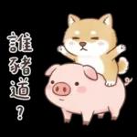 柴犬可愛諧音梗