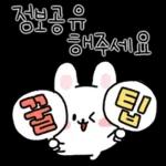 채식하는 토끼,비건이