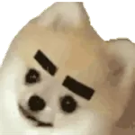 이대로 놓칠 건가요?