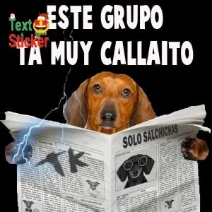 ESTE GRUPO TA MUY CALLAITO - getsticker.com