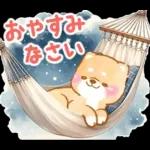 大人の夏❤️いやしばいぬ❤️柴犬