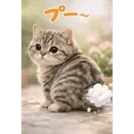 とびだす★ねこちゃんの日常