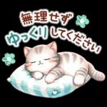 猫のつめあわせ【夏】