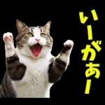 島根出雲弁☆にゃんこ