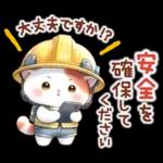 猫のつめあわせ【夏】