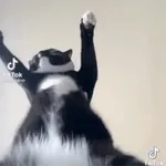 Tenha um bom dia no trabalho.