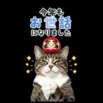 毎年使える♪リアルなにゃんこの年末年始