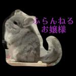 ふらんねるスタンプ【日常】