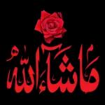 سچ کہا آپ نے