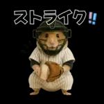 【新】リアル野球ハムスター