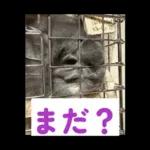 ふらんねるスタンプ【日常】