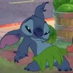 Stitch