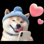 圓柴柴18:祝你有個可愛的一天❤️