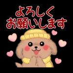 Animation only icon かわいいトイプードルの冬