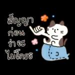 บิสเก็ต & เพื่อนๆ
