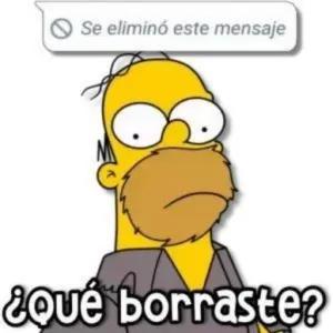 ¿qué borraste? Se eliminó este mensaje - getsticker.com