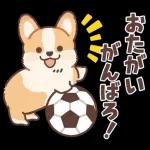 Pop-Up! Corgi's Spring Reply Sticker