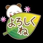 一年中使える連絡用パンダ