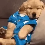 Buenos dias, buenos dias!!