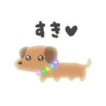 ぴかぴかわんわん