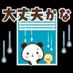 パンダ＆ひよこ 梅雨・夏