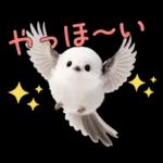 とってもかわいい♡シマエナガちゃん