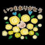 母の日❤父の日 感謝をこめて