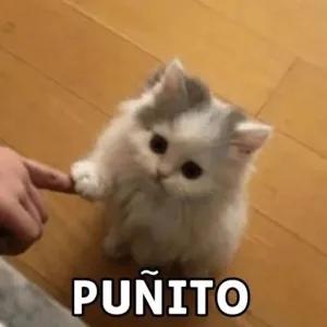 PUNITO - getsticker.com