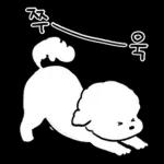 또리는 소심하지만 참지않지