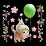 ずっと使える メロン帽が可愛い 猫とウサギ