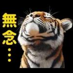 大阪神戸の野球好き虎ファン向け5とらほー