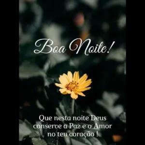 Boa Noite! Que nesta noite Deus conserve a Paz e o Amor no teu coração ! - getsticker.com