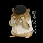 【新】リアル野球ハムスター
