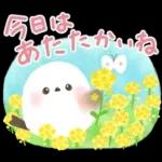 ほんわり♡春色シマエナガ