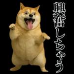 ガンギマリの柴犬＠エロ・日常会話