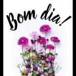 Feliz Sábado de Aleluia! Bom dia!