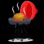 Meme Brasileiro 12093