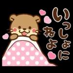 コツメカワウソ♡ラブラブ8