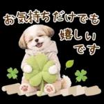 気持ち伝わる癒やしシーズー