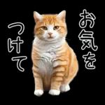リアルな猫の敬語