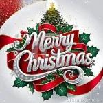 平安夜、聖誕、元旦