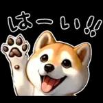 柴犬ワンダフル！！！！！