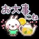 うさぎさん やさしい春の気づかい