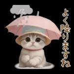 スコティッシュ猫 カラフル帽 夏 敬語