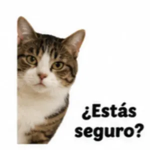 ¿Estás seguro? - getsticker.com